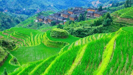 Longsheng, Guilin, Guangxi, China 🗺️ Foro China, el Tíbet y Taiwán 1