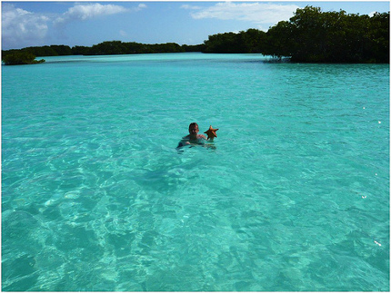 Los Roques, Venezuela 🗺️ Foro América del Sur y Centroamérica 1