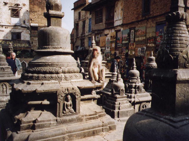 Templo de los Monos Katmandu. 1