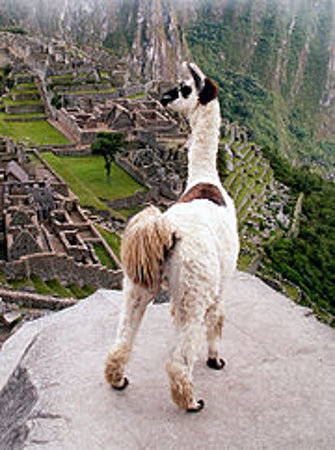 Machu Picchu, Peru 2