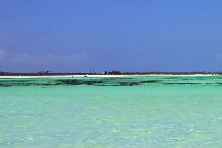 Parque Nacional Maritimo Malindi, Kenia 🗺️ Foro Clima, Naturaleza, Ecologia y Medio Ambiente 1