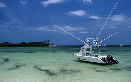 Parque Nacional Maritimo Malindi, Kenia 🗺️ Foro Clima, Naturaleza, Ecologia y Medio Ambiente 1