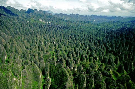 Mangkalihat, Kalimantan Oriental, Indonesia 0