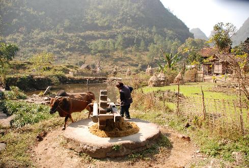 Bosque cárstico de Maolan en Libo, Guizhou, China 2