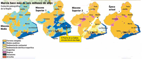 MURCIA-Una 'sorpresa' escondida en las obras de la A-30 1 - Restos de Fosiles y minerales (Localizacion)