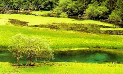 Mar Seco, Lijiang, Yunnán, China 1