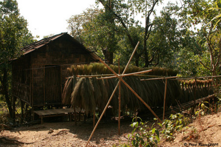 Mawlynnong, Meghalaya, India 0