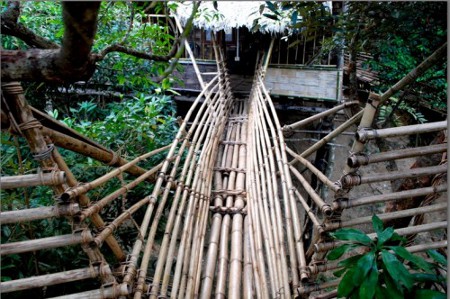 Mawlynnong, Meghalaya, India 1