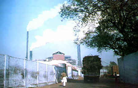 Meerut, Uttar Pradesh, India 1