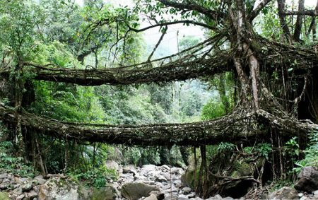 Meghalaya, India 🗺️ Foro Asia 0