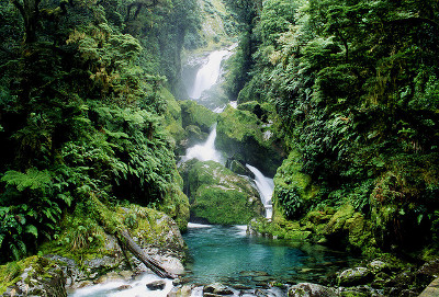 Milford Track, Southland, Nueva Zelanda 🗺️ Foro Oceanía 1