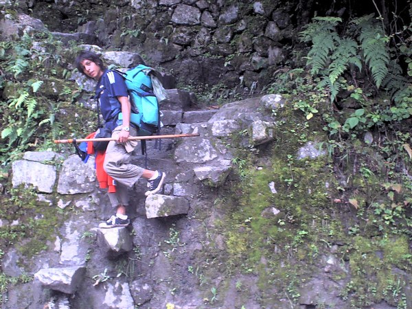 Camino de llegada a Machu Pichu