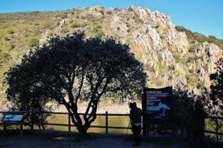 Mirador del Salto del Gitano en Monfragüe, Cáceres 1