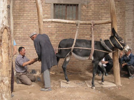 Monasterio de Bezeklik, Xinjiang, China 0