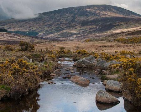 Montañas de Wicklow, Irlanda 🗺️ Foro Europa 1