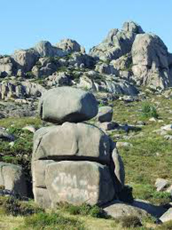 Monte de Castrelos, Vigo, Galicia 1