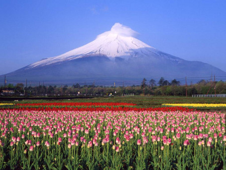 Monte Fuji, Fujinomiya, Shizuoka, Japón 0