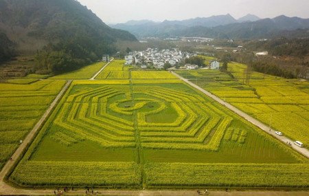 monte Qiyun, Xiuning, Anhui, China 0