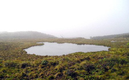 Monte Waialeale, Hawái, EEUU ⚠️ Ultimas opiniones 1