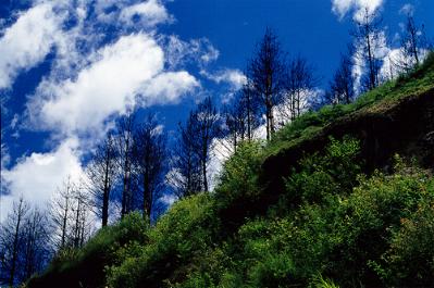 Parque Nacional de Yushan o monte Jade, Taiwan 1