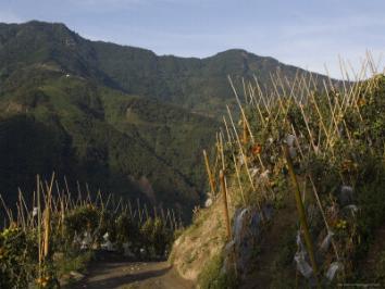 Parque Nacional de Yushan o monte Jade, Taiwan 0