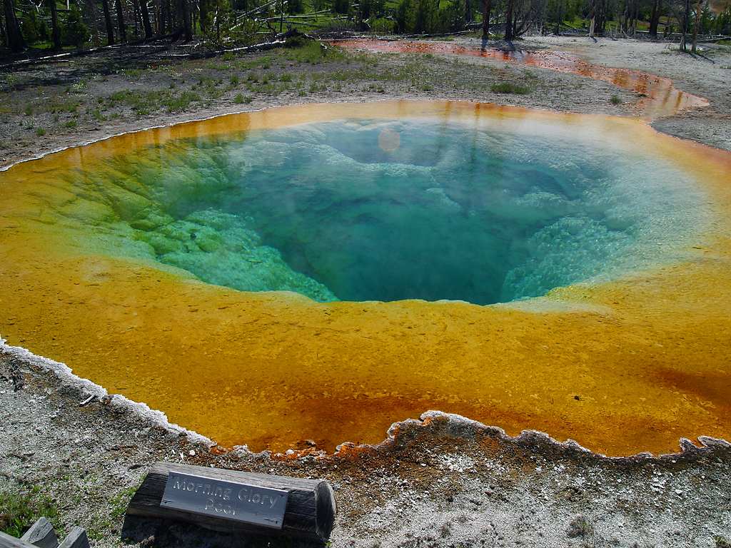 Yellowstone el parque de los geisers 🗺️ Foro América del Norte