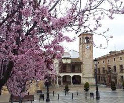 Mota del Cuervo, Cuenca, Castilla la Mancha (Foto 4)