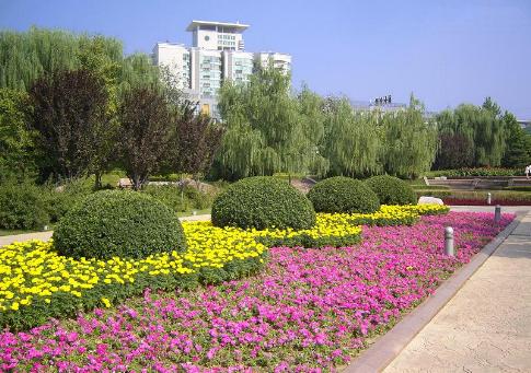 Parque muralla de la ciudad Imperial, Beijing, China 0