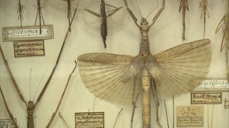 Museo Admont Abbey, Austria 0