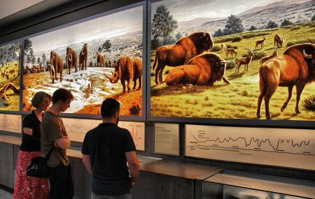 Museo de Altamira, Santillana del Mar, Cantabria 🗺️ Foro España 1