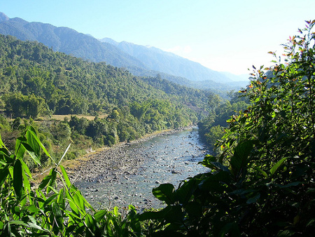 Parque Nacional Namdapha, Assam, India 1