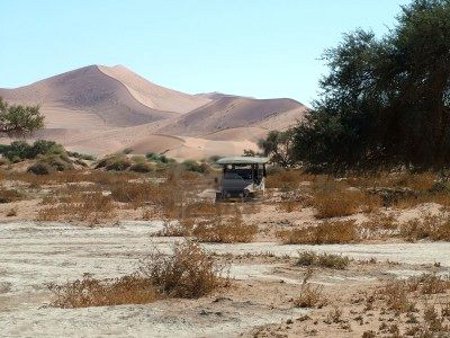 Parque Nacional Namib Naukluft, Namibia 0