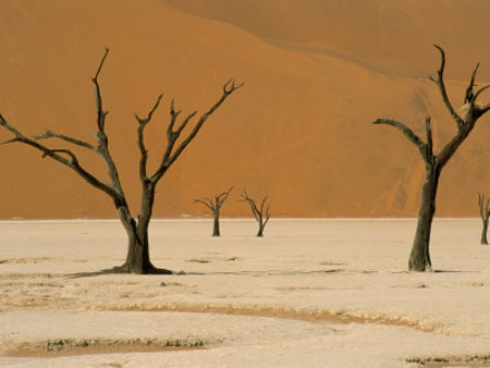 Parque Nacional Namib Naukluft, Namibia 2