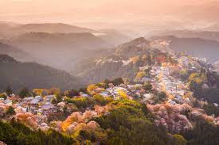 Nara, Prefectura de Nara, Japón 0