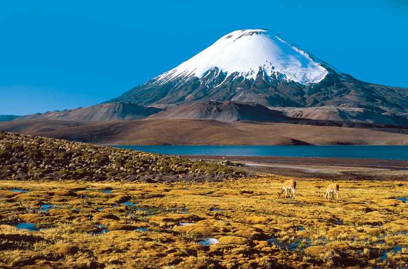 Variables Ambientales de Chile 🗺️ Foro Clima, Naturaleza, Ecologia y Medio Ambiente 0