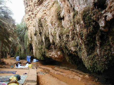 Oasis Terjit, Mauritania 0