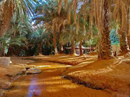 Oasis Terjit, Mauritania 1
