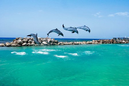 Ocho Rios, Saint Ann Parish, Jamaica 🗺️ Foro América del Sur y Centroamérica 1