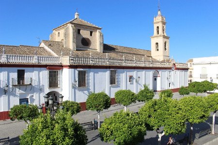 Olivares, Sevilla, Andalucía 1