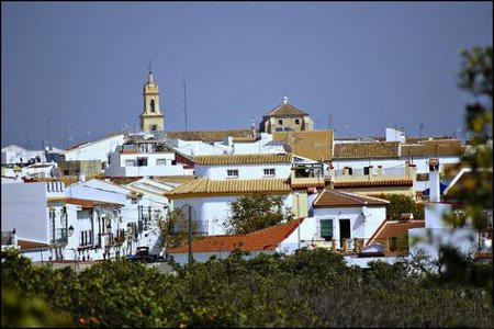 Olivares, Sevilla, Andalucía 1