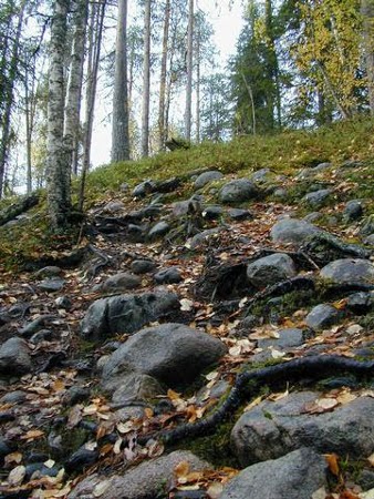 Parque Nacional de Oulanka, Finlandia 🗺️ Foro Europa 1