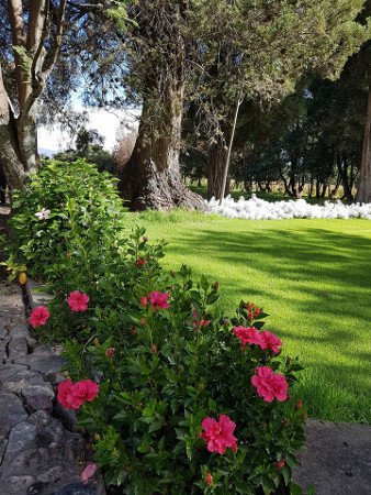 Hacienda de Simon I. Patino -Pairumani, Cochabamba, Bolivia 🗺️ Foro América del Sur y Centroamérica 0