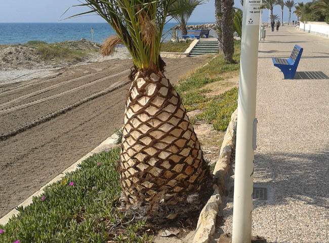 Lugares Insólitos de la naturaleza 0