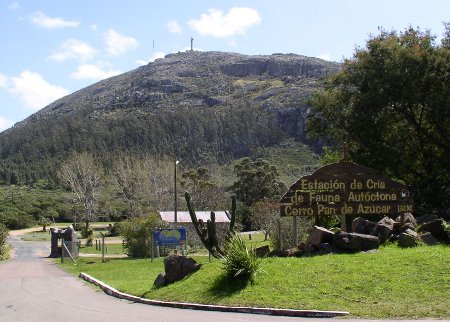 Pan de Azúcar, Maldonado, Uruguay 🗺️ Foro América del Sur y Centroamérica 0