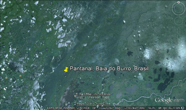 Pantanal, Baia do Burro, Brasil 🗺️ Foro América del Sur y Centroamérica 2