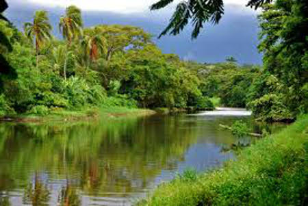 Parque Almendares, La Habana, Cuba 1