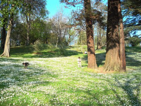 Parque Cristina Enea de Donostia - San Sebastián 1