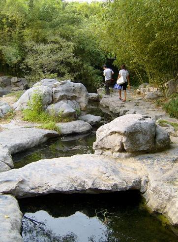 Parque del Bambú Morado, Beijing, China 0