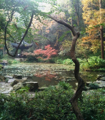 Parque del Tigre Corredor, Hangzhou, Zhejiang, China 2