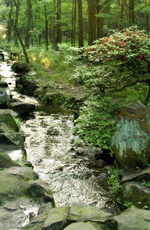 Parque del Tigre Corredor, Hangzhou, Zhejiang, China 1